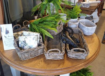 new-zealand/rotorua/shop/grace-and-glory