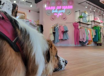 illinois/naperville/shop/dash-of-nash