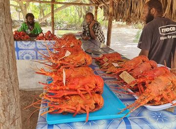 vanuatu/anatom-aneityum/shop/mystery-island-tours