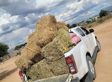 namibia/otjozondjupa/shop/otjozondjupa-feed