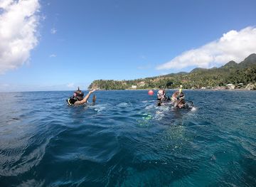 dominica/calibishie-beach/shop/salt-dive