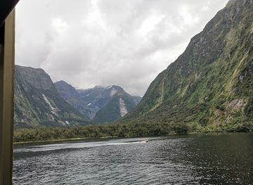 new-zealand/milford-sound/shop/harrison-cove