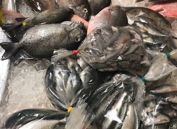 guam/dededo/shop/mega-fish-mart