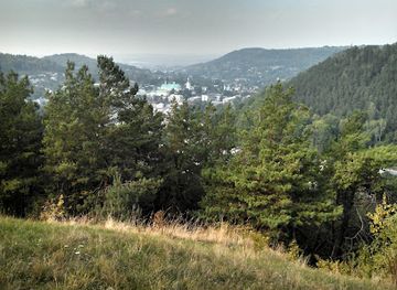 ukraine/synevyr-national-park/shop/krmnts-mountains-national-park