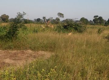 mozambique/limpopo-national-park/shop/distrito-de-limpopo