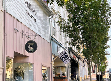 virginia/fredericksburg/shop/wildflower-collective