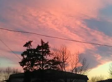 romania/neamt/shop/bibomoda-s-r-l