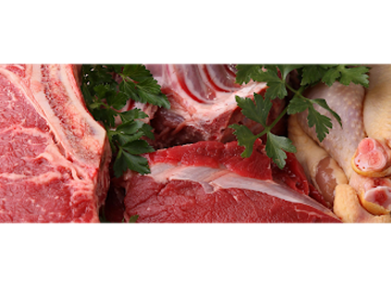 malta/marsa/shop/a-m-g-cold-stores-ltd