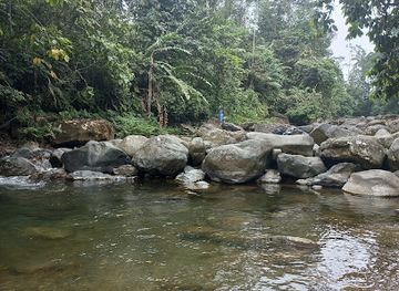 ecuador/santo-domingo-de-los-tsachilas-region/shop/finca-turistica-a-pata-limpia