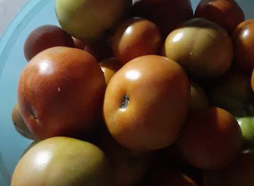 lesotho/berea/shop/destination-general-dealer