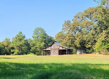 arkansas/pinnacle-mountain-state-park/shop/connie-at-natural-steps