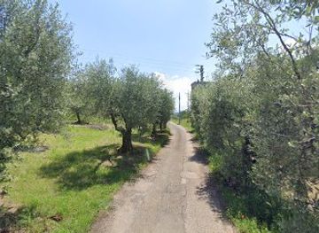 italy/via-francigena/shop/satur