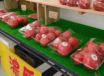 japan/iwami/shop/farm-springboard