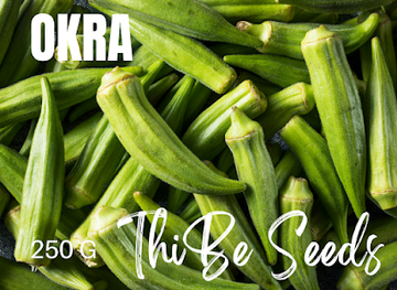 namibia/zambezi/shop/thibe-seeds-cc