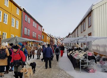 norway/roros/shop/domus-shopping-roros