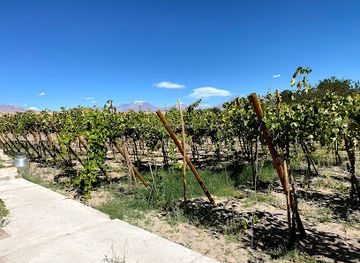 chile/atacama-desert/shop/vina-santa-romina