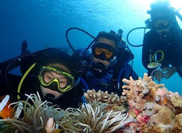 indonesia/pulau-wakatobi/shop/tomia-scuba-dive