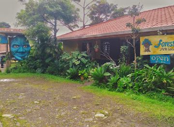 costa-rica/monteverde/shop/foresta-arte-local