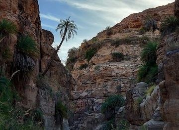 jordan/al-karak/shop/wadi-bin-hammad