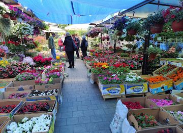 serbia/podrinje/shop/zemun-market