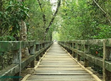 bangladesh/sundarbans/shop/the-sundarbans-bangladesh
