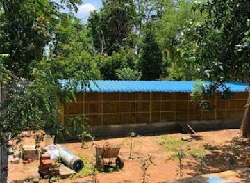 cameroon/north-west-region/shop/uncle-tom-s-bird-farm