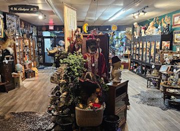 illinois/rockford/shop/scavenged-parts-antiques-oddities