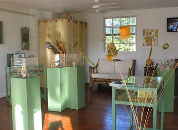 barbados/speightstown/shop/tiyi-by-design-jewelry-studio
