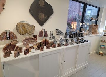 rhode-island/newport-county/shop/natural-elements-a-nature-and-science-store