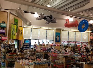 michigan/traverse-city/shop/traverse-city-bear-company