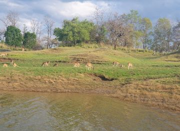 india/satpura-range/shop/satpura-tiger-reserve-madhai-entry-gate