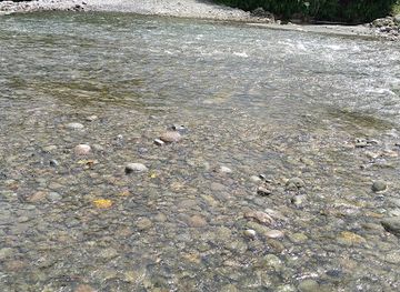 papua-new-guinea/arawa/shop/adizine