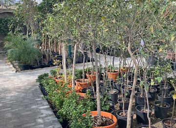 bahrain/saar/shop/final-vision