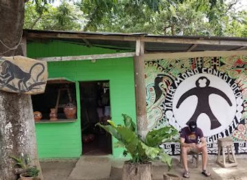 costa-rica/guanacaste/shop/mono-congo-loco-store