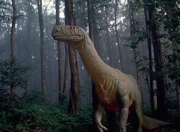 switzerland/jura-mountains/shop/grottes-et-prehisto-parc