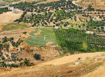 jordan/ajloun-forest-reserve/shop/ajloun