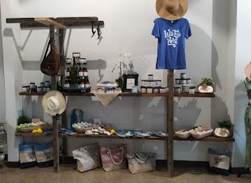 ohio/sandusky/shop/cold-water-and-company