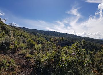 kenya/aberdare-national-park/shop/kayu-glory-mobile