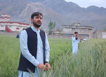 afghanistan/nuristan-province/shop/amir-hassan