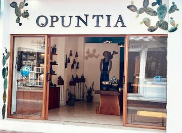 ecuador/galapagos-islands/shop/opuntia-ceramics