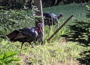 california/big-sur/shop/post-ranch-mercantile