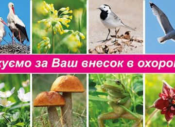 ukraine/volhynia/shop/shatskyi-national-park