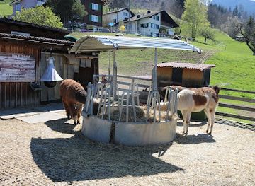 liechtenstein/vaduz-region/shop/lama-alpakahof-triesenberg