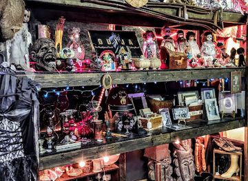 michigan/lansing/shop/voodoo-s-world-of-oddtiques