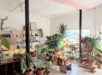 michigan/grand-rapids/shop/the-natural-order