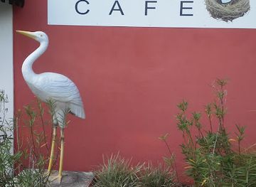 florida/nature-coast/shop/friends-of-citrus-and-the-nature-coast-herry-s-thrift-gift-shoppe