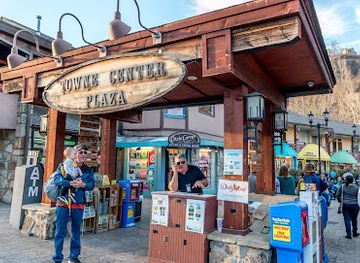tennessee/great-smoky-mountains/shop/koala-t-fashion