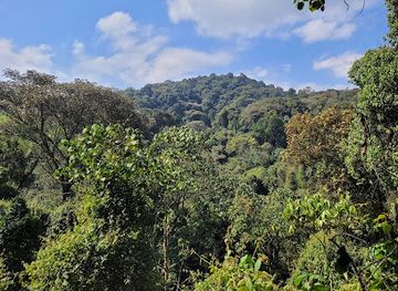 Kibira National Park