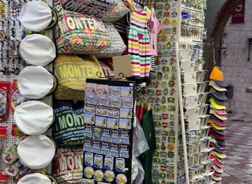 montenegro/bay-of-kotor/shop/iguana-souvenirs