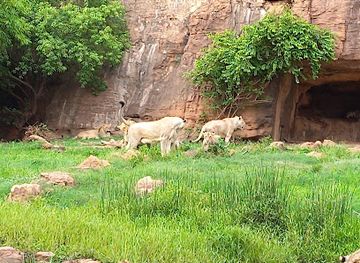 mali/boucle-du-baoule-national-park/shop/zoo-national-du-mali